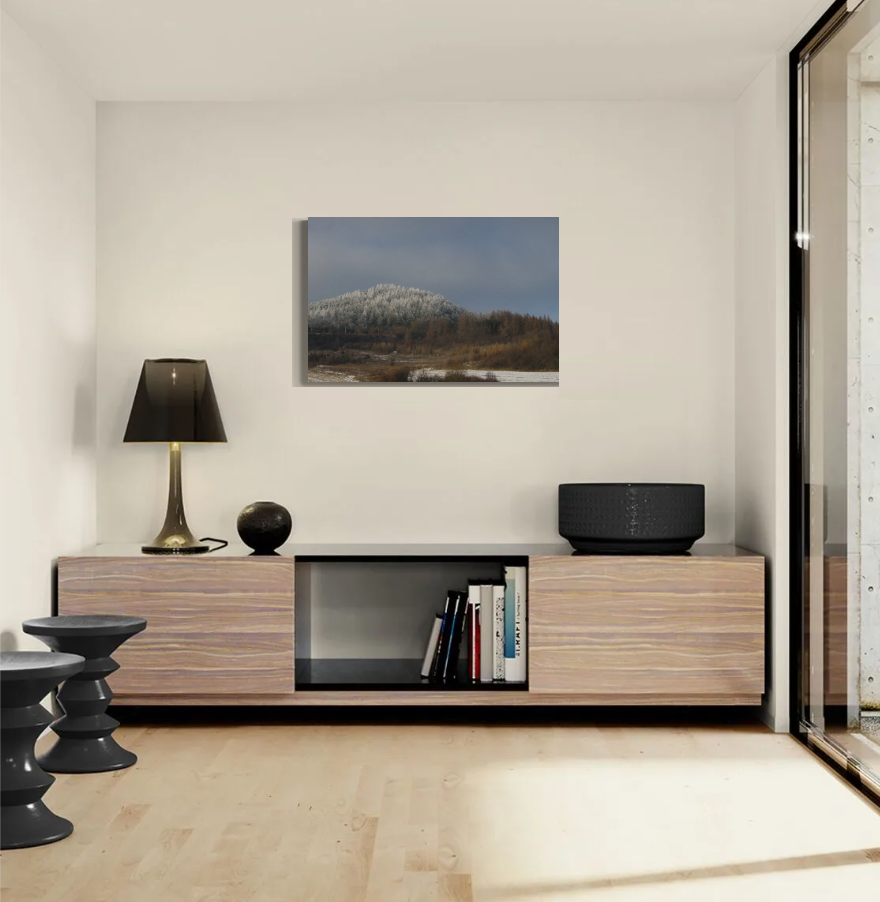 Entrance forest Lipany