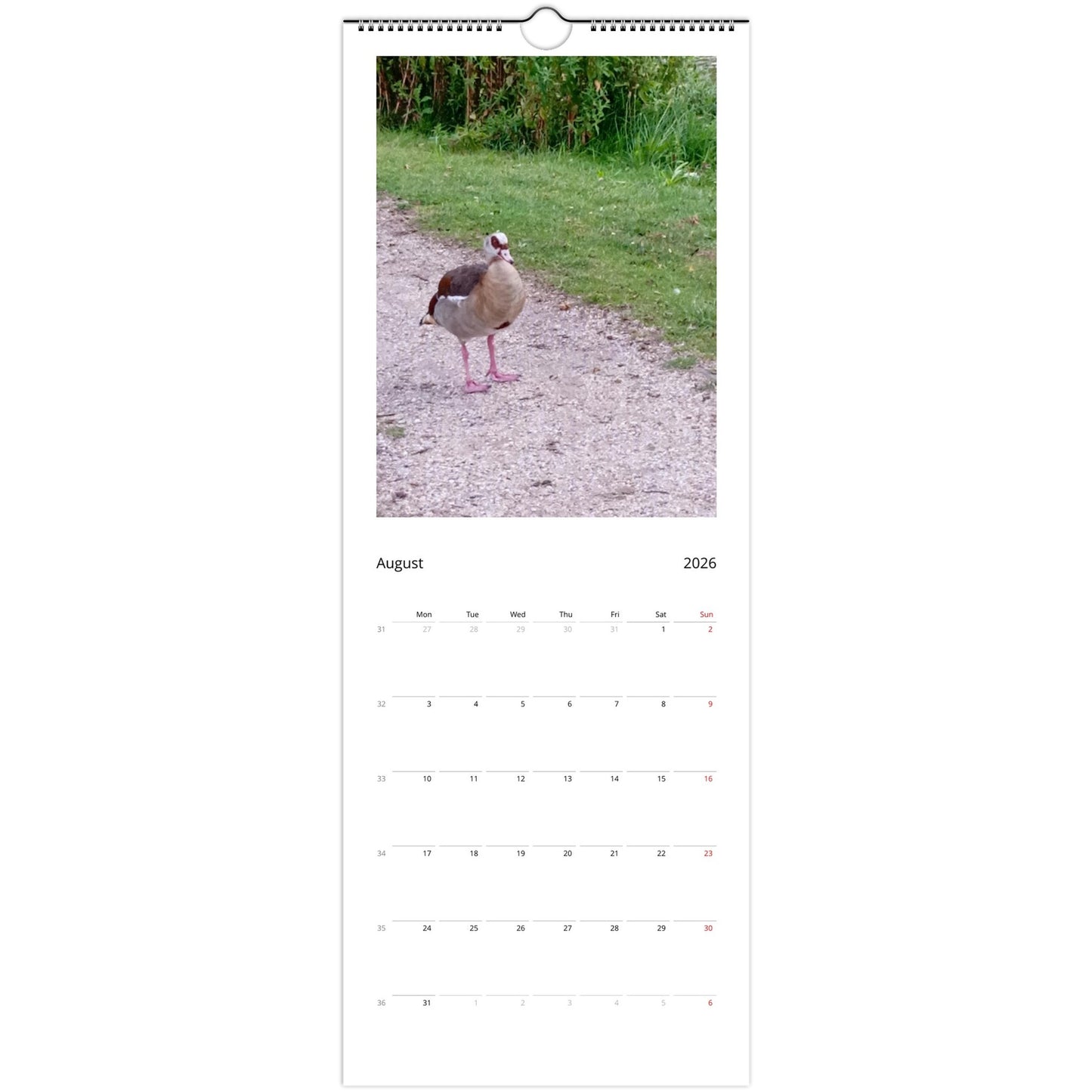 1242aa23-374d-49a0-b2d0-0a855dbb7871