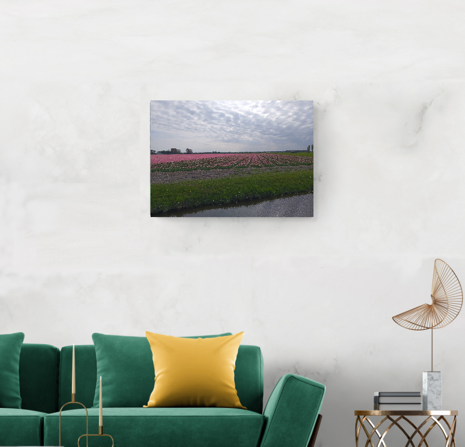 Flovers flow Nordwijk