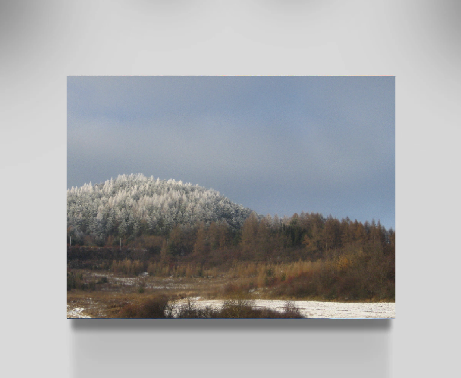 Entrance forest Lipany