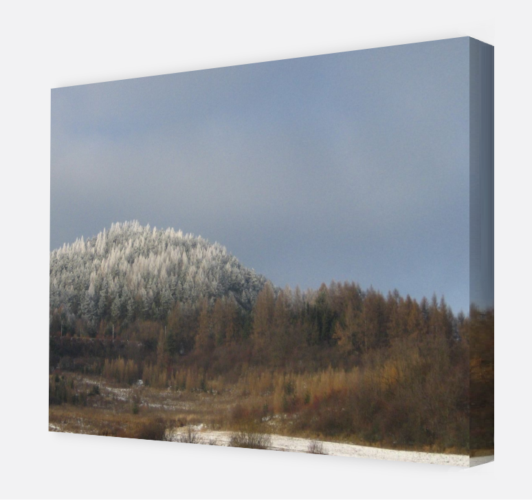 Entrance forest Lipany