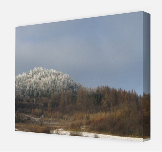 Entrance forest Lipany