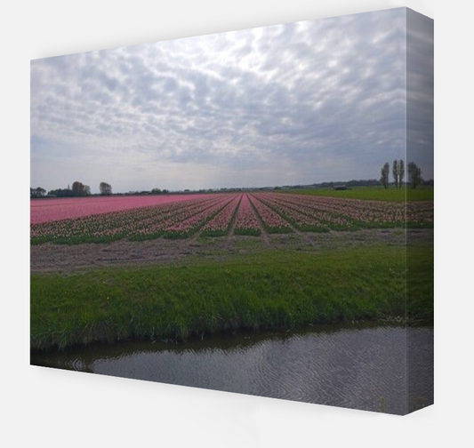 Flovers flow Nordwijk